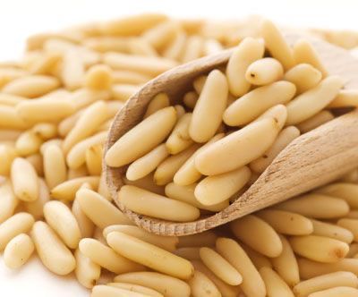 Pine Nuts Kernel