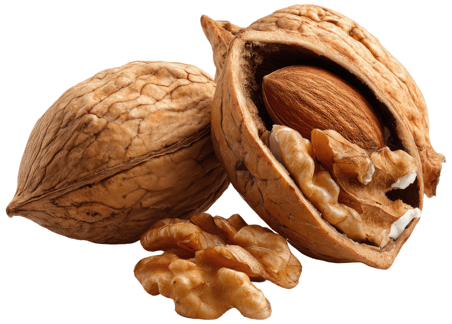 Nuts & Kernels